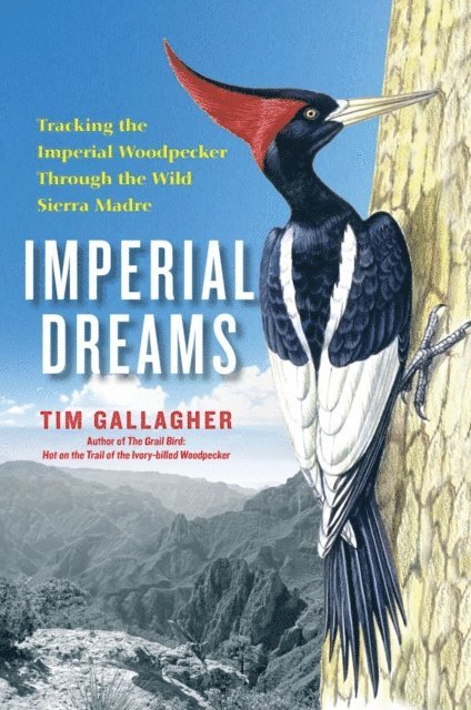 Tim Gallagher - Imperial Dreams, E-bok. Tillgänglighet: Lägg i varukorg