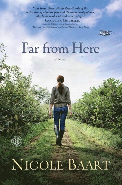 Nicole Baart - Far from Here, E-bok