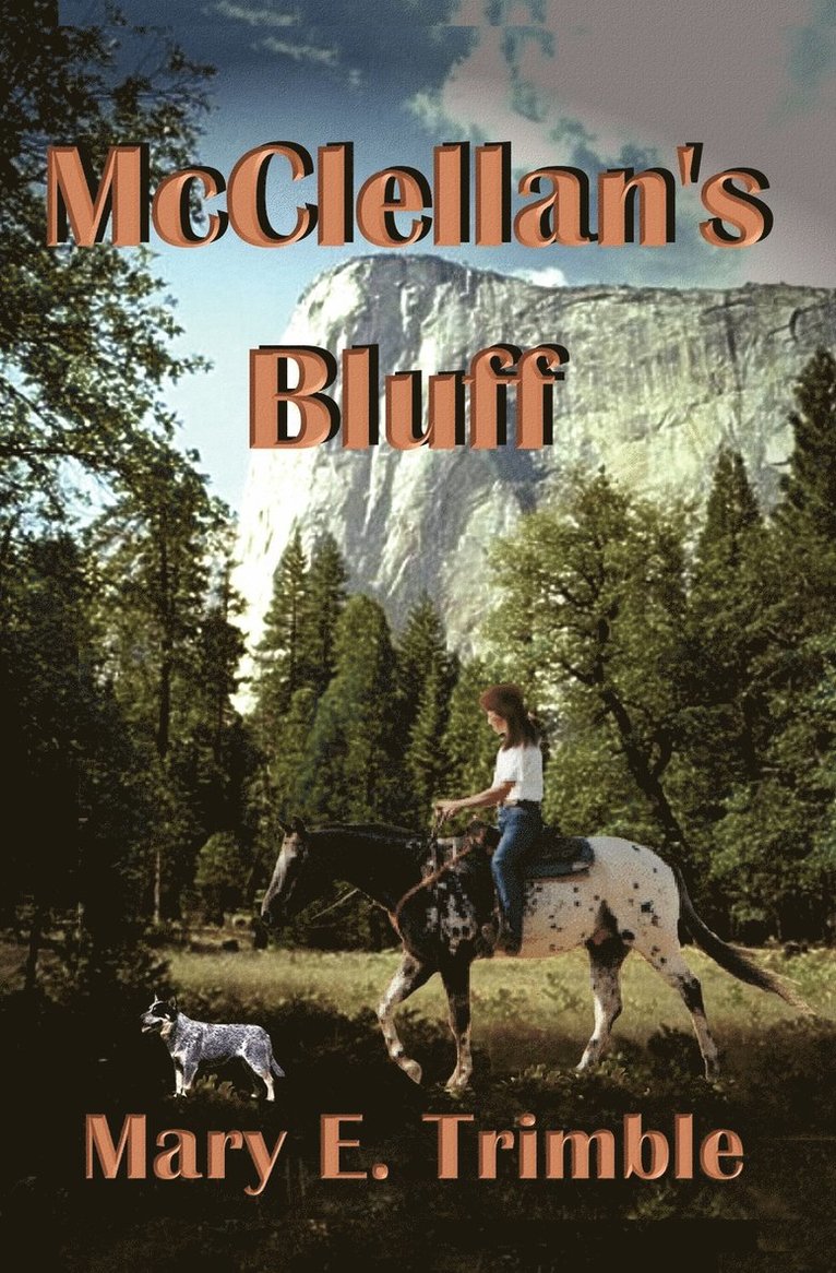 Mary E Trimble - McClellan's Bluff, Häftad. Tillgänglighet: Lägg i varukorg
