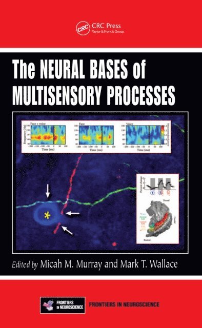 Mark T. Wallace, Micah M. Murray - Neural Bases of Multisensory Processes, E-bok