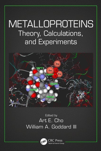 William A. Goddard III, Art E. Cho - Metalloproteins, E-bok