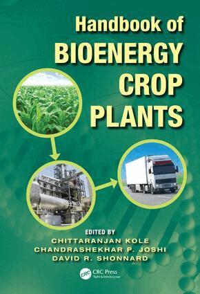 Chittaranjan Kole, Chandrashekhar P. Joshi, David R. Shonnard - Handbook of Bioenergy Crop Plants, E-bok