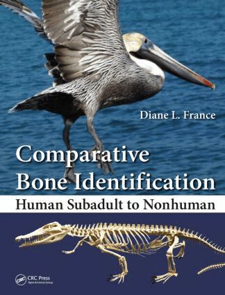 Diane L. France - Comparative Bone Identification, Inbunden