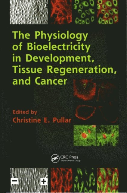 Christine E. Pullar - Physiology of Bioelectricity in Development, Tissue Regeneration and Cancer, E-bok