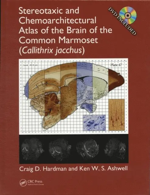 Ken W. S. Ashwell, Craig D. Hardman - Stereotaxic and Chemoarchitectural Atlas of the Brain of the Common Marmoset (Callithrix jacchus), E-bok. Tillgänglighet: Lägg i varukorg
