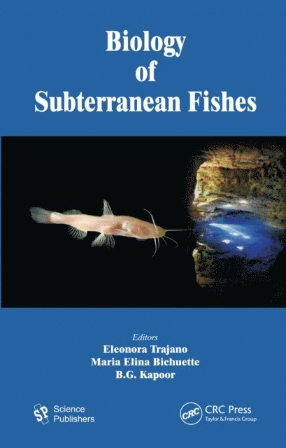 B.G. Kapoor, Maria Elina Bichuette, Eleonora Trajano - Biology of Subterranean Fishes, E-bok