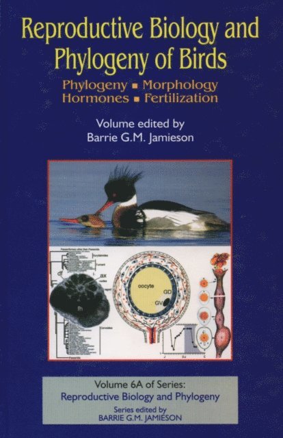 Barrie G M Jamieson - Reproductive Biology and Phylogeny of Birds, Part A, E-bok