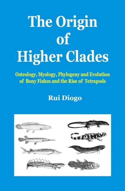 Rui Diogo - Origin of Higher Clades, E-bok