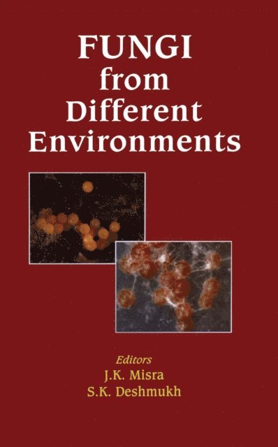 S.K. Deshmukh, J K Misra - Fungi from Different Environments, E-bok