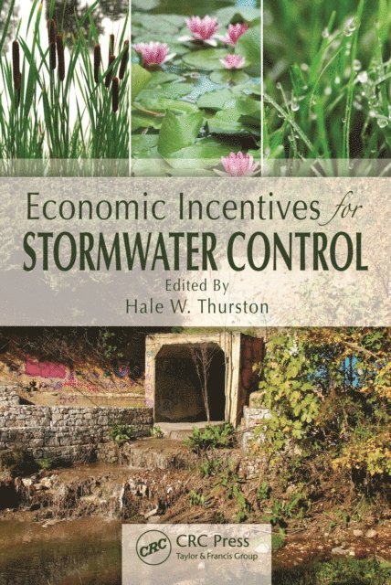 Hale W. Thurston - Economic Incentives for Stormwater Control, E-bok