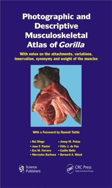 Bernard A. Wood, Mercedex Barbosa, Gaelle Bello, Eva M. Ferrero, Felix J. dePaz, Juan F. Pastor, Josep M. Potau, Rui Diogo - Photographic and Descriptive Musculoskeletal Atlas of Gorilla, E-bok