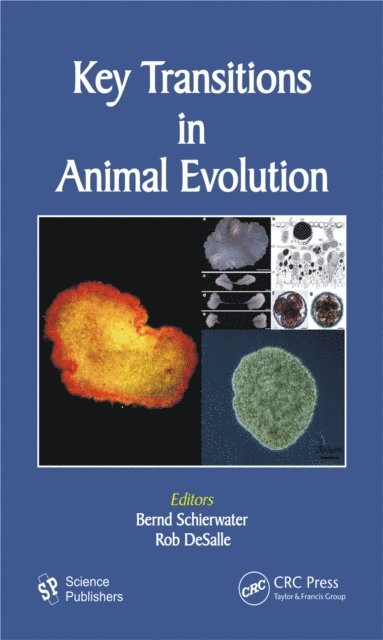 Bernd Schierwater, Rob Desalle - Key Transitions in Animal Evolution, E-bok