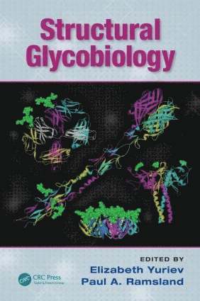 Structural Glycobiology by Elizabeth Yuriev, Paul A Ramsland
