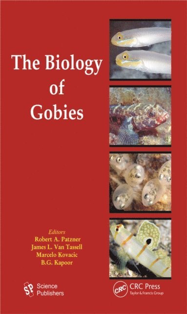 B. G. Kapoor, Marcelo Kovacic, James L. Van Tassell, Robert Patzner - Biology of Gobies, E-bok