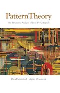 Pattern Theory