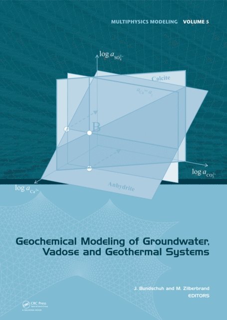 Michael Zilberbrand, Jochen Bundschuh - Geochemical Modeling of Groundwater, Vadose and Geothermal Systems, E-bok