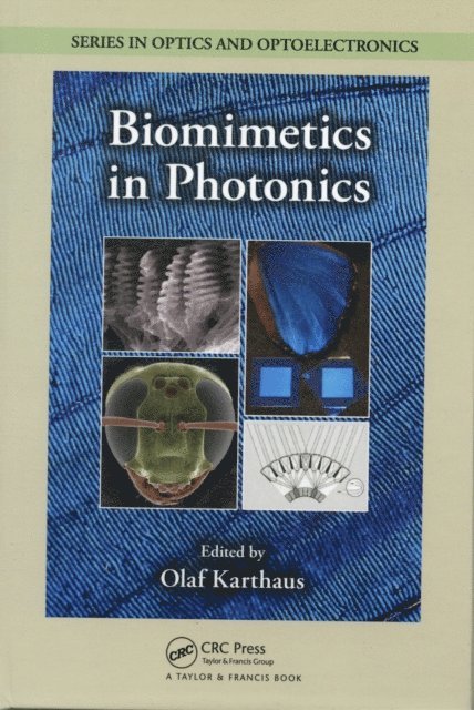 Olaf Karthaus - Biomimetics in Photonics, E-bok