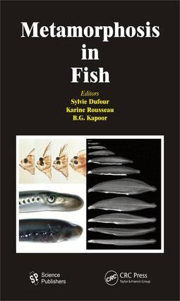 Sylvie Dufour, Karine Rousseau, B. G. Kapoor - Metamorphosis in Fish, E-bok