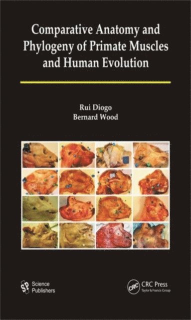 Bernard A. Wood, Rui Diogo - Comparative Anatomy and Phylogeny of Primate Muscles and Human Evolution, E-bok