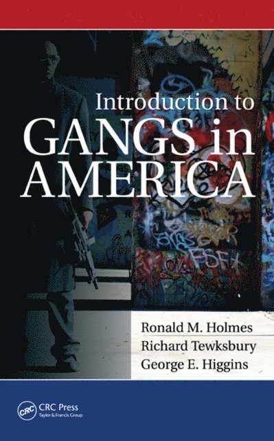 George Higgins, Richard Tewksbury, Ronald M. Holmes - Introduction to Gangs in America, E-bok
