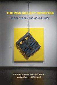 Risk Society Revisited