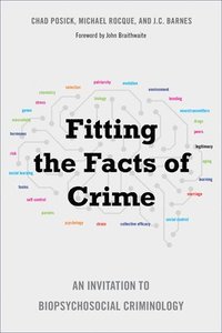 Fitting the Facts of Crime