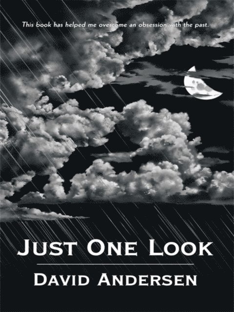David Andersen - Just One Look, E-bok