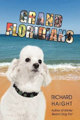 Richard Haight - Grand Floridians, Häftad. Tillgänglighet: Lägg i varukorg