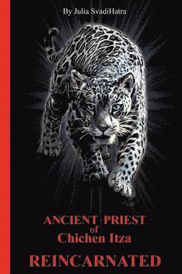 Julia Svadihatra - Priest, Häftad. Tillgänglighet: Lägg i varukorg