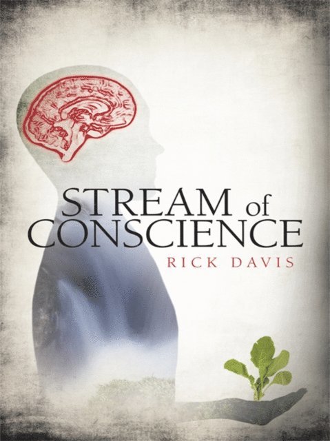 Rick Davis - Stream of Conscience, E-bok