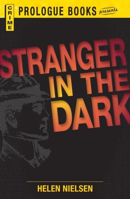 Helen Nielsen - Stranger in the Dark, E-bok