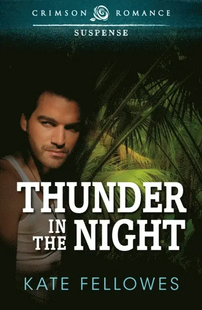 Kate Fellowes - Thunder in the Night, E-bok. Tillgänglighet: Lägg i varukorg
