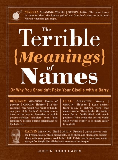 Justin Cord Hayes - Terrible Meanings of Names, E-bok