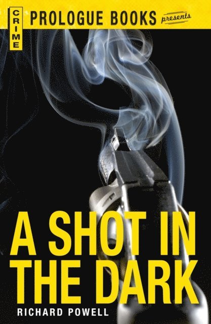 Richard Powell - Shot in the Dark, E-bok