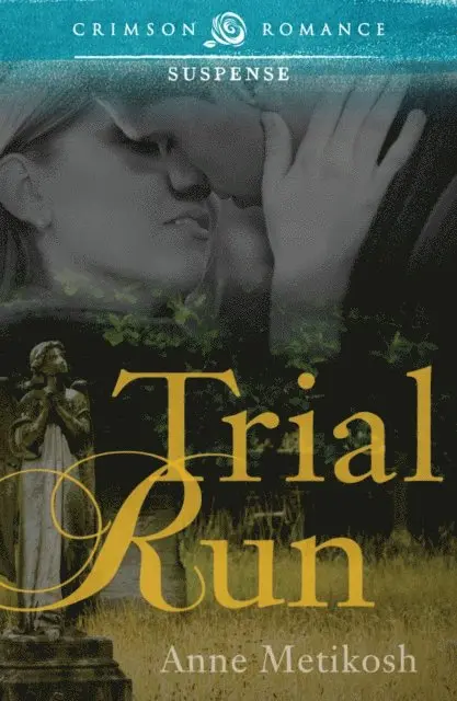 Anne Metikosh - Trial Run, E-bok. Tillgänglighet: Lägg i varukorg