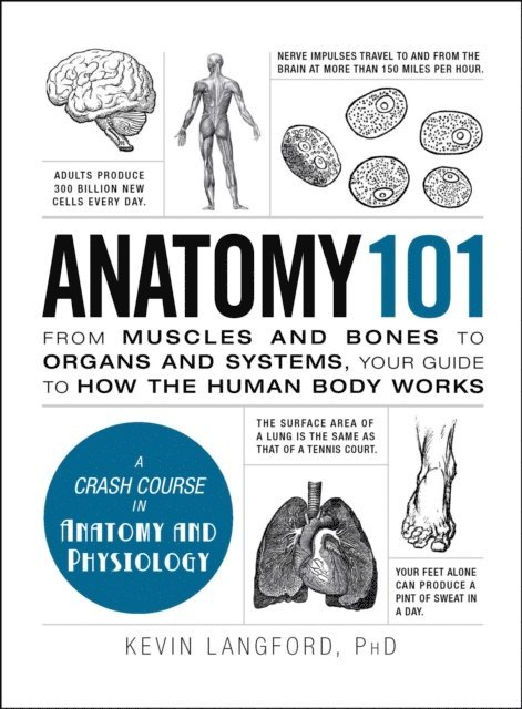 Kevin Langford - Anatomy 101, E-bok