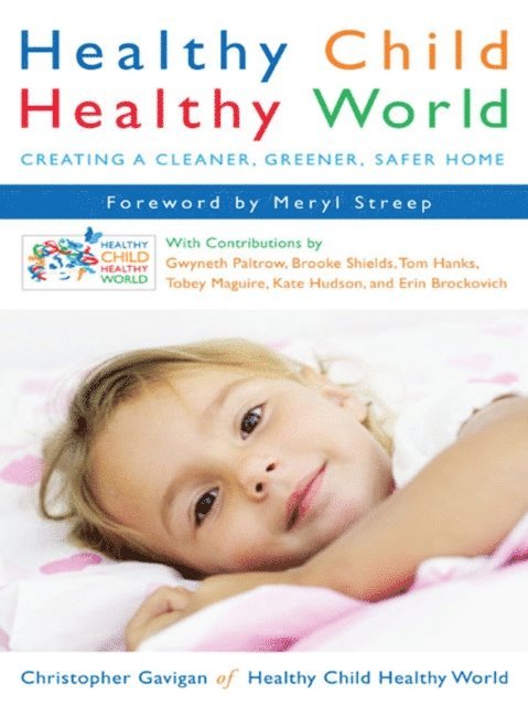 Christopher Gavigan - Healthy Child Healthy World, E-bok