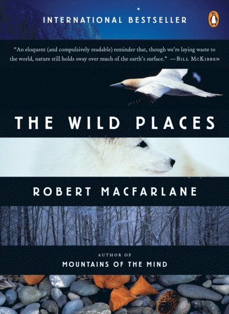 Robert Macfarlane - Wild Places, E-bok