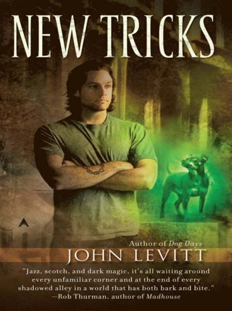 John Levitt - New Tricks, E-bok