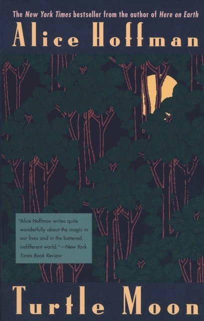 Alice Hoffman - Turtle Moon, E-bok