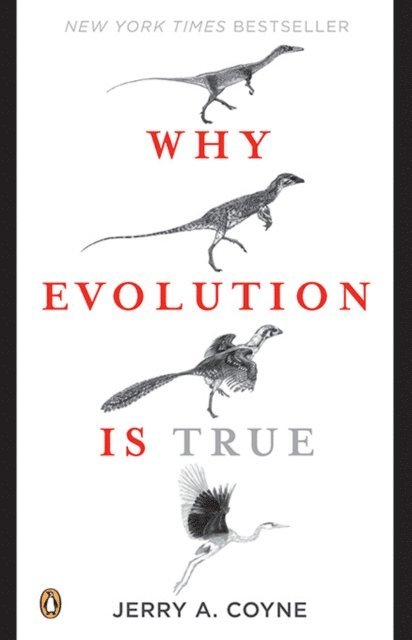 Jerry A. Coyne - Why Evolution Is True, E-bok