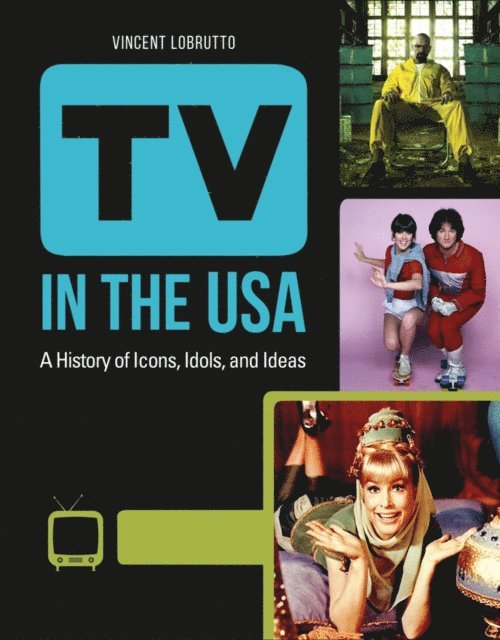 Vincent LoBrutto - TV in the USA, E-bok