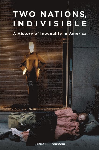 Jamie L. Bronstein - Two Nations, Indivisible, E-bok