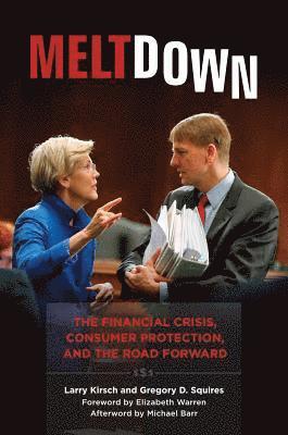 Larry Kirsch, Gregory D. Squires - Meltdown, E-bok