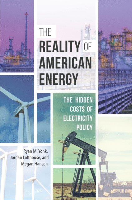 Ryan M. Yonk, Jordan Lofthouse, Megan Hansen - Reality of American Energy, E-bok