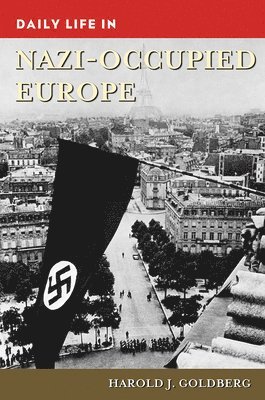 Harold J. Goldberg - Daily Life in Nazi-Occupied Europe, E-bok