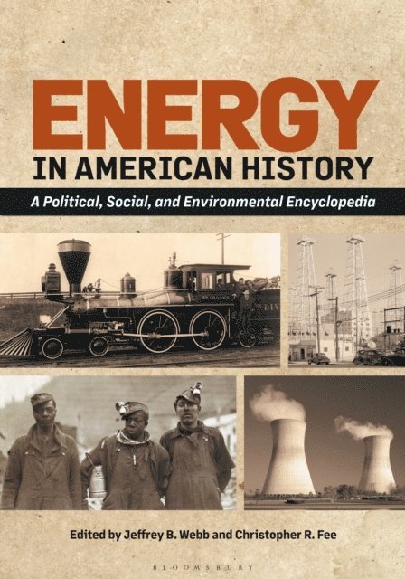 Jeffrey B. Webb, Christopher R. Fee - Energy in American History, E-bok
