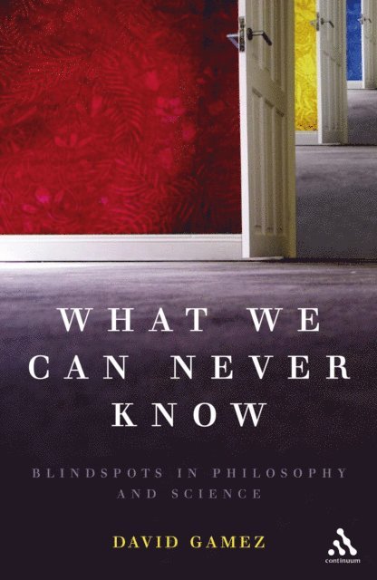 David Gamez - What We Can Never Know, E-bok