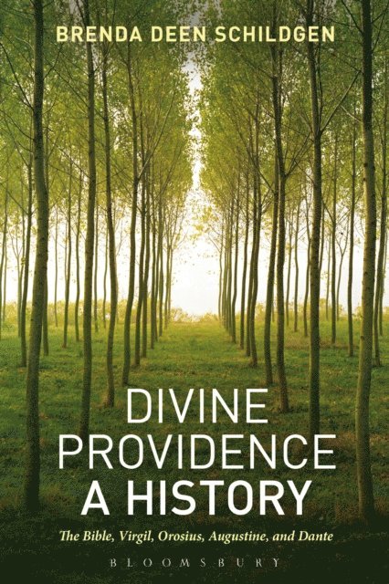 Brenda Deen Schildgen - Divine Providence: A History, E-bok