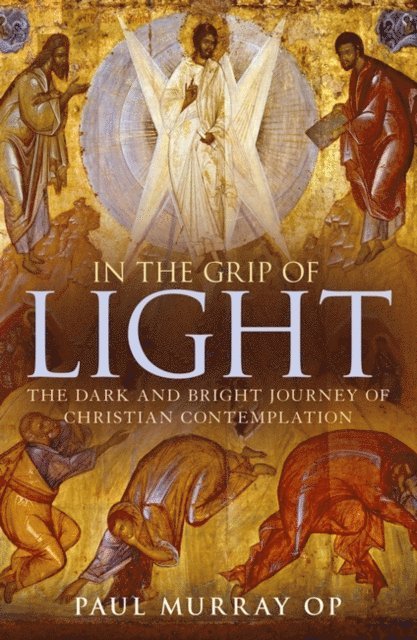 Paul Murray OP - In the Grip of Light, E-bok